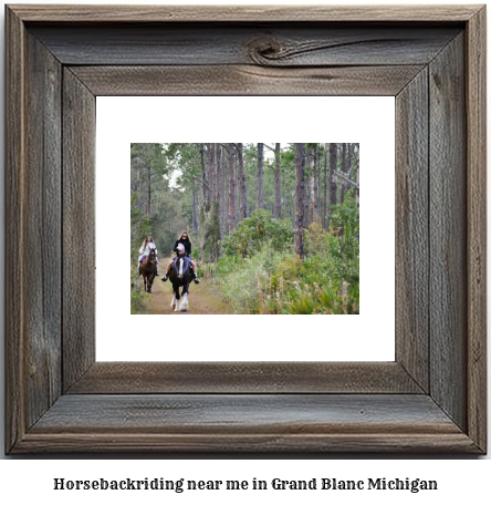 horseback riding near me in Grand Blanc, Michigan